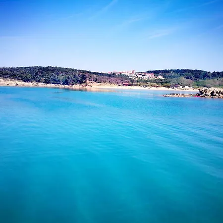 Simon Πανσιόν